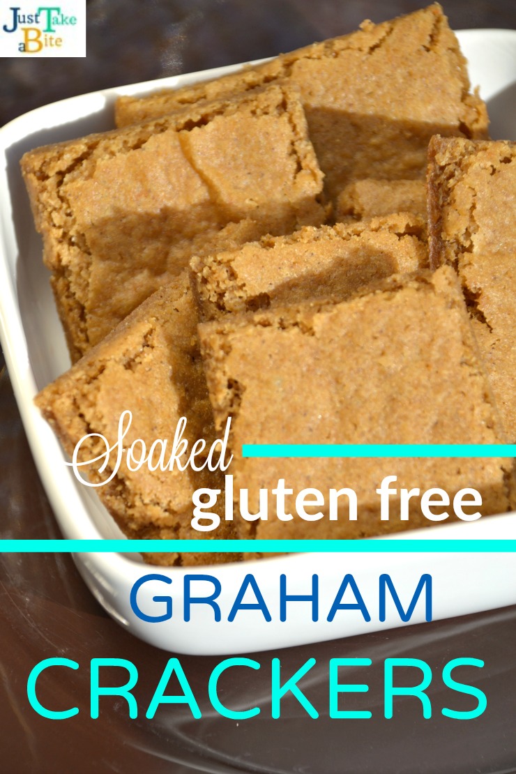 Soaked Gluten Free Graham Crackers | Just Take A Bite