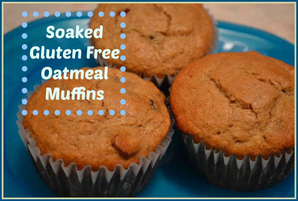 Soaked Gluten Free Oatmeal Muffins | Just Take A Bite