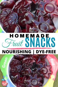 Homemade Fruit Snacks Without Artificial Colors! | Just Take A Bite