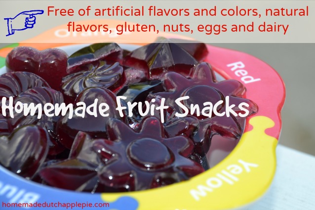 Healthy Homemade Fruit Snacks Recipe - Feels Like Home™