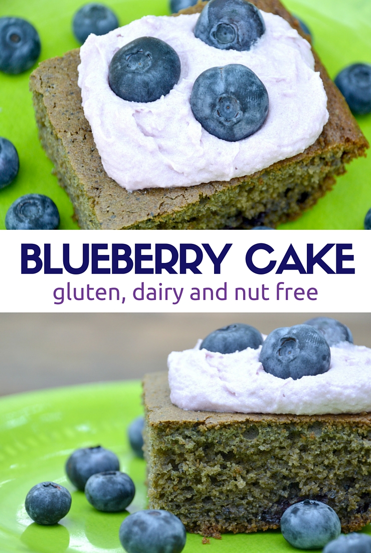 Gluten Free Dairy Free Nut Free Blueberry Cake | Just Take A Bite