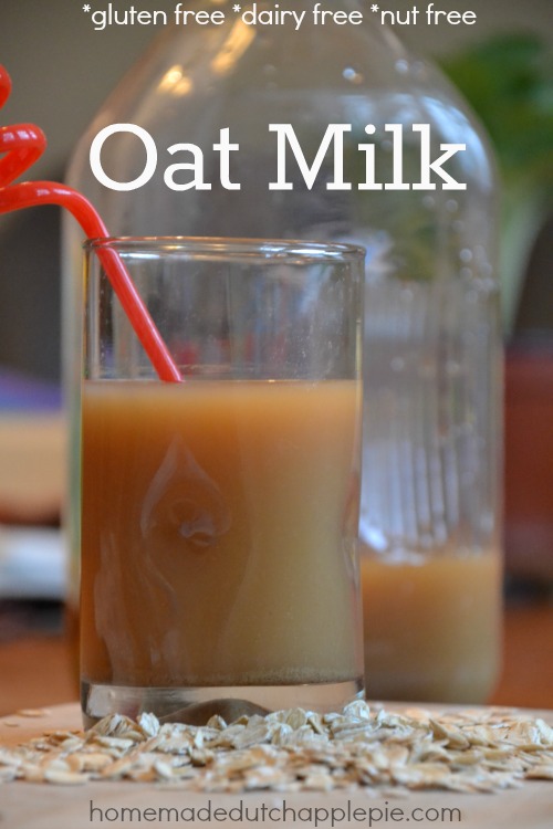 Homemade Oat Milk Dairy Alternative {fermented option} Just Take A Bite