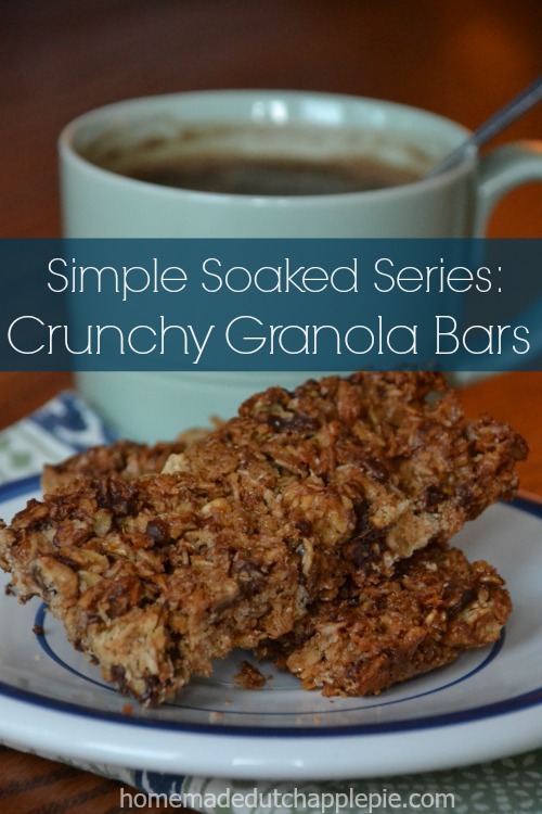 Skip the boxed granola bars loaded with HFCS and non-food like glycerin and was. Homemade crunchy granola bars made with soaked oats are easy and healthy!