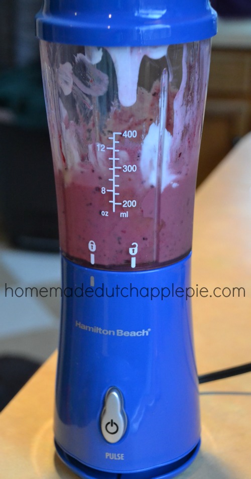 Hamilton Beach Single Serve Blender Review + Giveaway