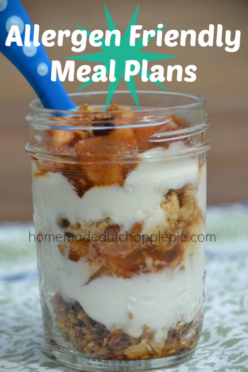 Allergen Friendly Meal Plans | Homemade Dutch Apple Pie