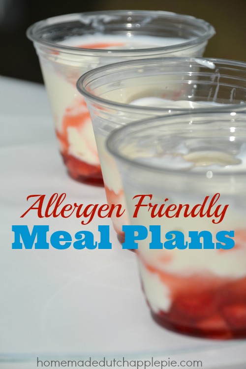 Allergen Friendly Meal Plans | Homemade Dutch Apple Pie