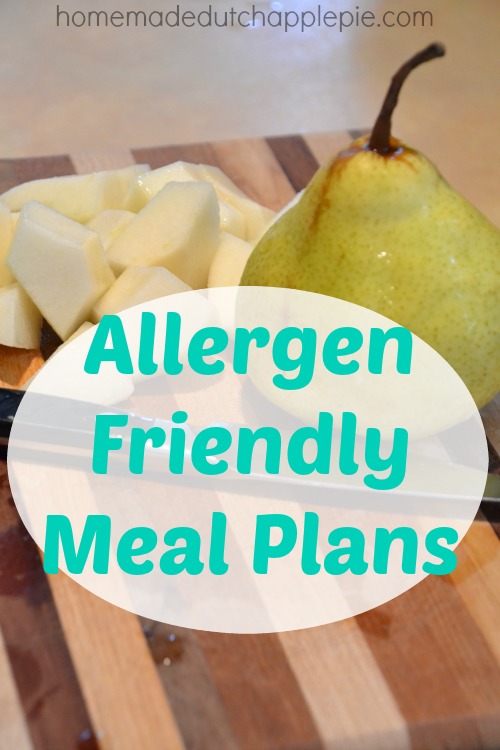 Allergen Friendly Meal Plan | Homemade Dutch Apple Pie