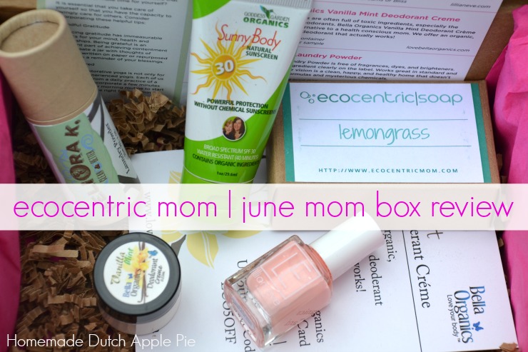 ecocentric mom june mom box review | Homemade Dutch Apple Pie