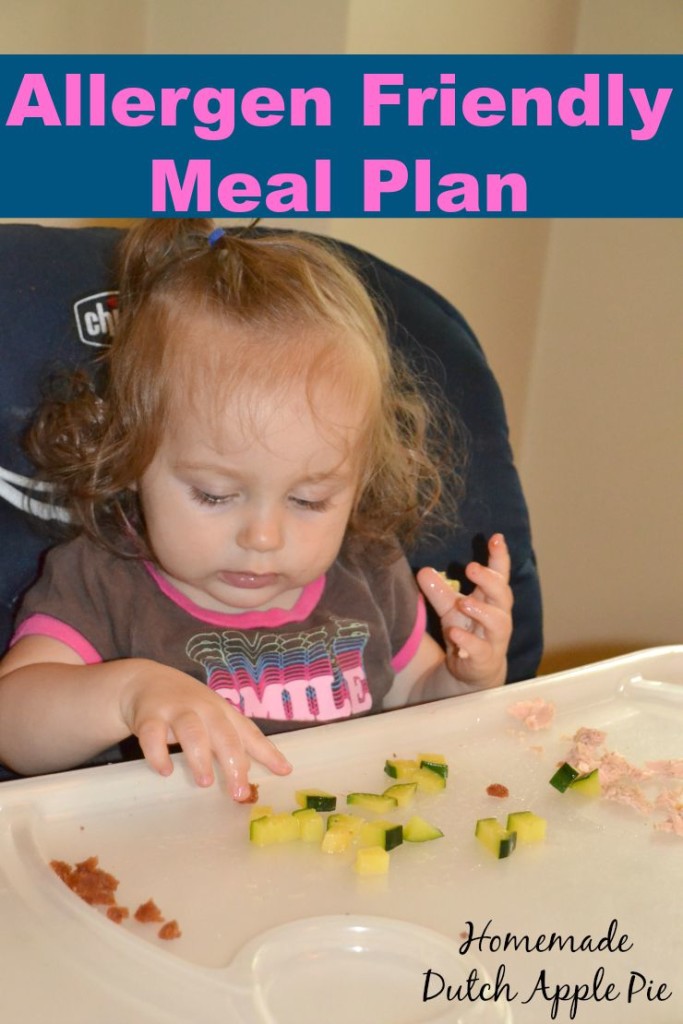 Allergen Friendly Meal Plan | Homemade Dutch Apple Pie