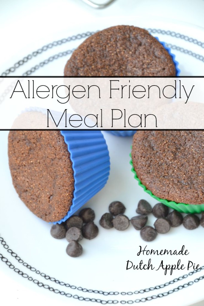 Allergen Friendly Meal Plan | Homemade Dutch Apple Pie