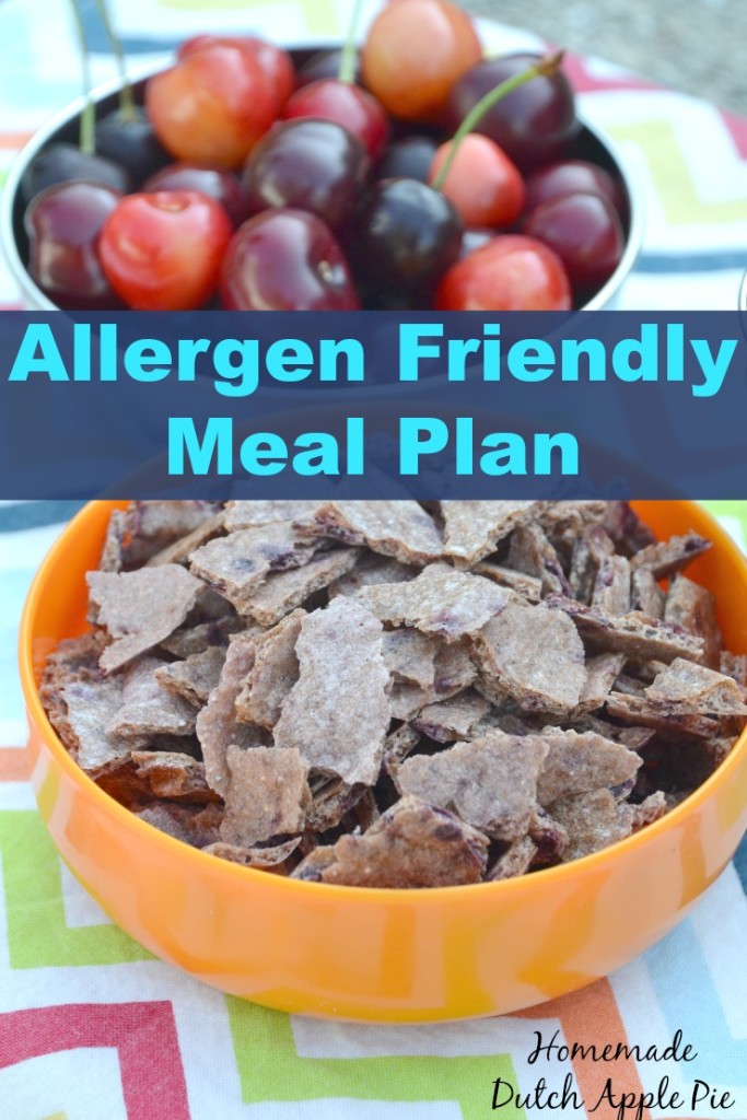 Allergen Friendly Meal Plan | Homemade Dutch Apple Pie