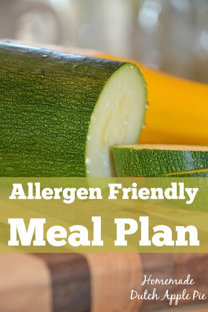 Allergen Friendly Meal Plan | Homemade Dutch Apple Pie