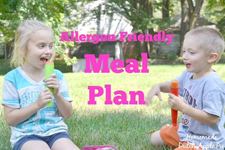 Allergen Friendly Meal Plan | Homemade Dutch Apple Pie