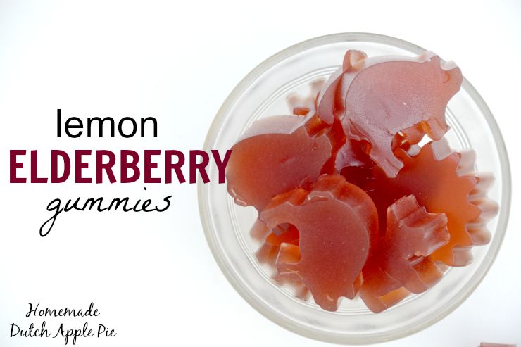 Lemon Elderberry Gummies | Homemade Dutch Apple Pie