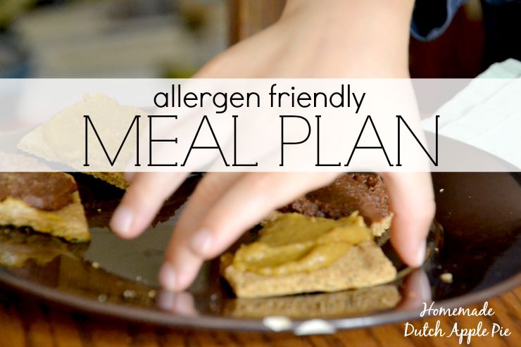 Allergen Friendly Meal Plan | Homemade Dutch Apple Pie