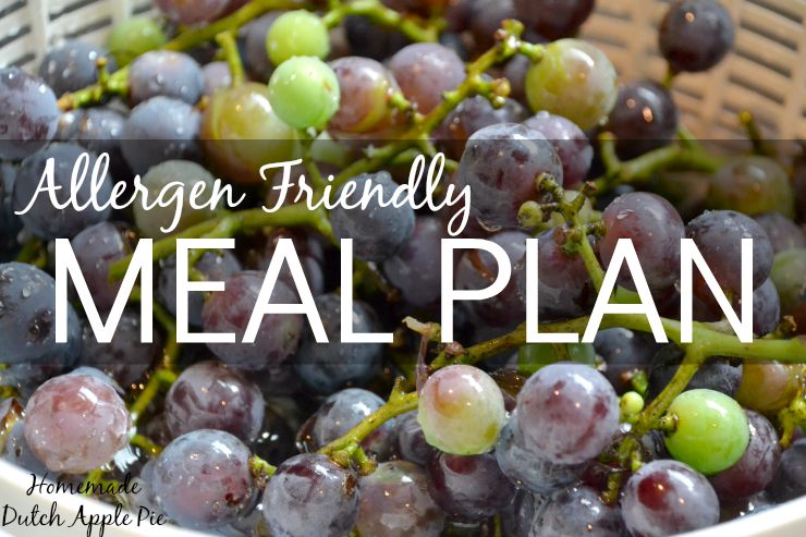 Allergen Friendly Meal Plan | Homemade Dutch Apple Pie