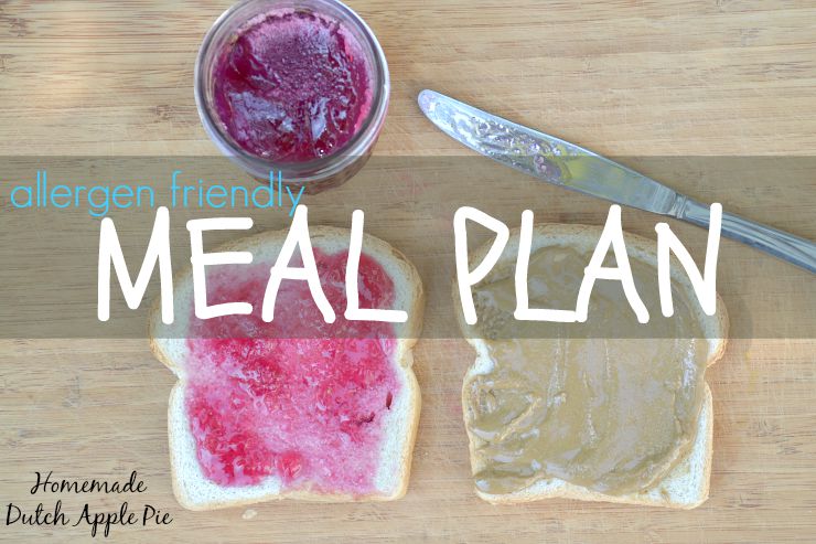 Allergen Friendly Meal Plan | Just Take A Bite