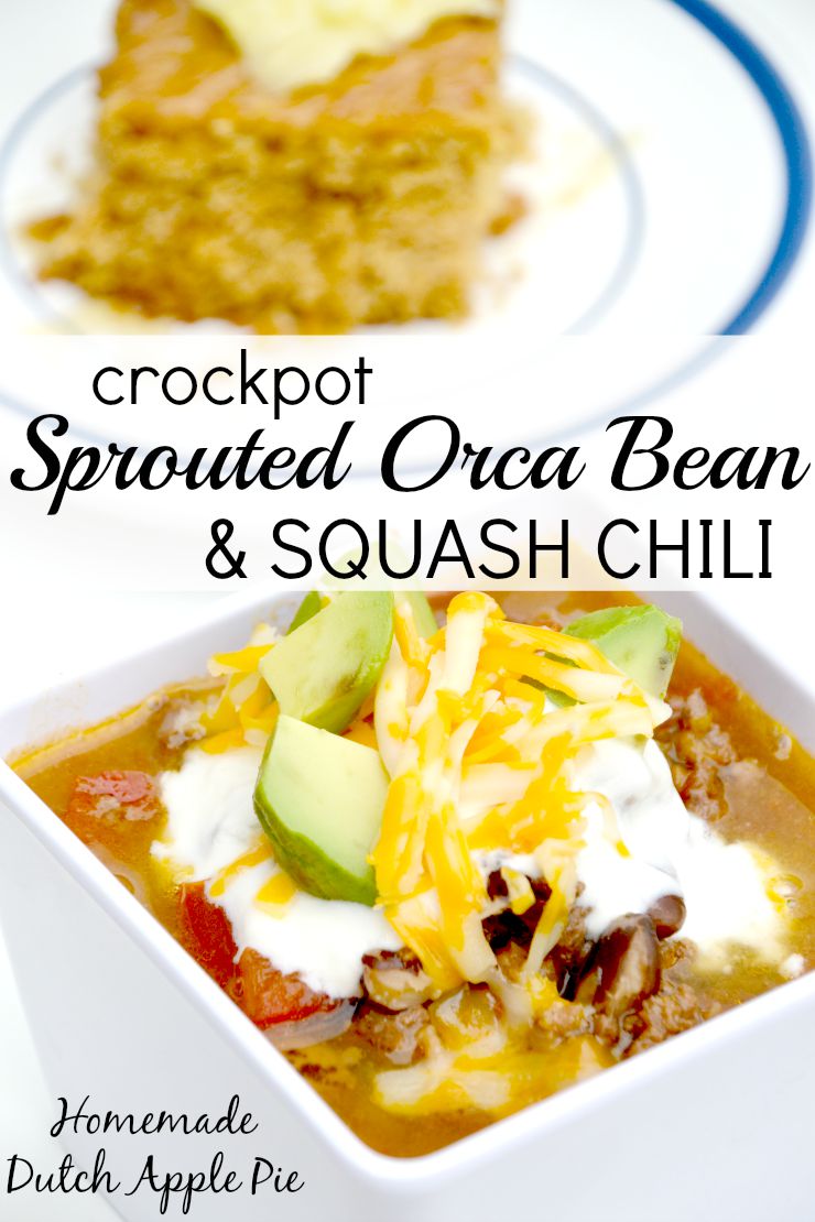 Crockpot Sprouted Orca Bean and Squash Chili