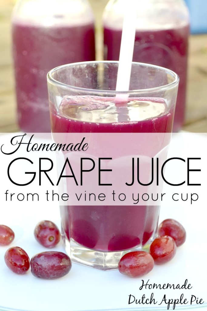Homemade Grape Juice From The Vine to Your Cup