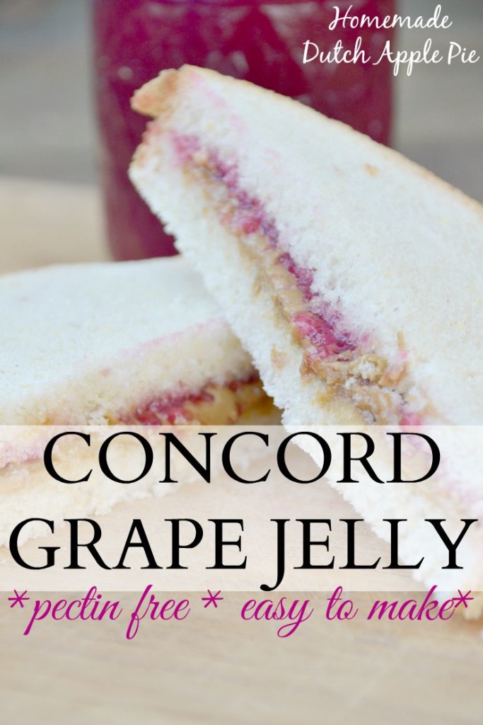 Pectin Free Concord Grape Jelly