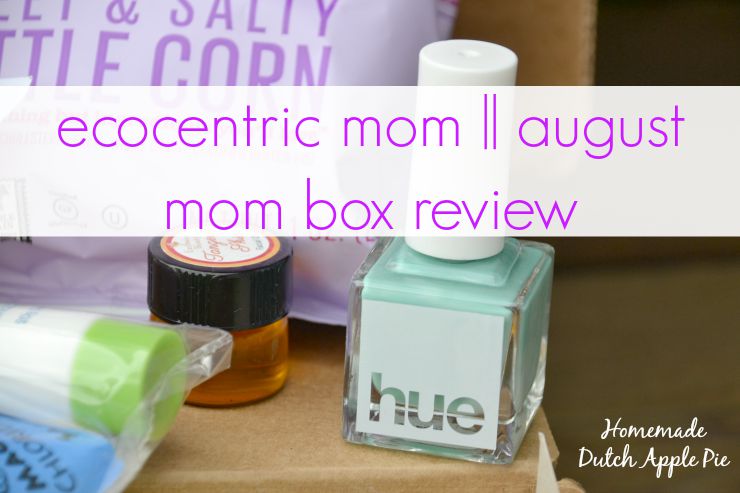 ecocentric mom august mom box review | Homemade Dutch Apple Pie