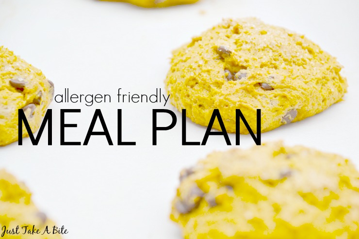 Allergen Friendly Meal Plan | Just Take A Bite