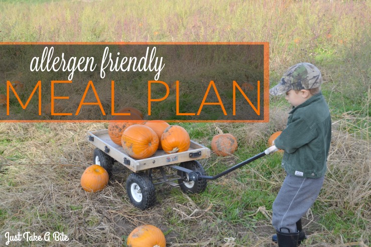 Allergen Friendly Meal Plan | Just Take A Bite