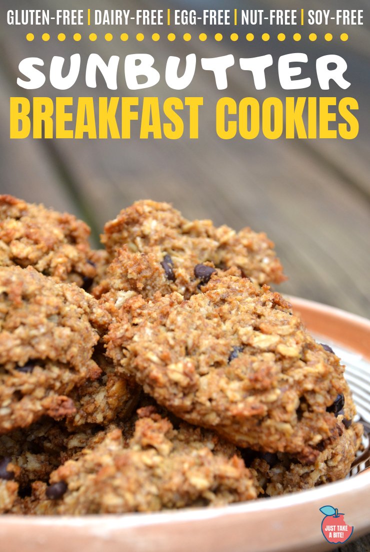 Gluten Free Sunbutter Breakfast Cookies | Just Take A Bite