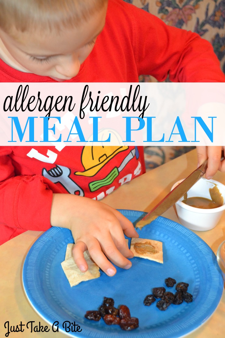 Allergen Friendly Meal Plan | Just Take A Bite