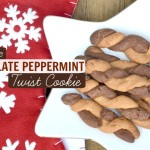 Gluten free chocolate peppermint twist cookies | Just Take A Bite