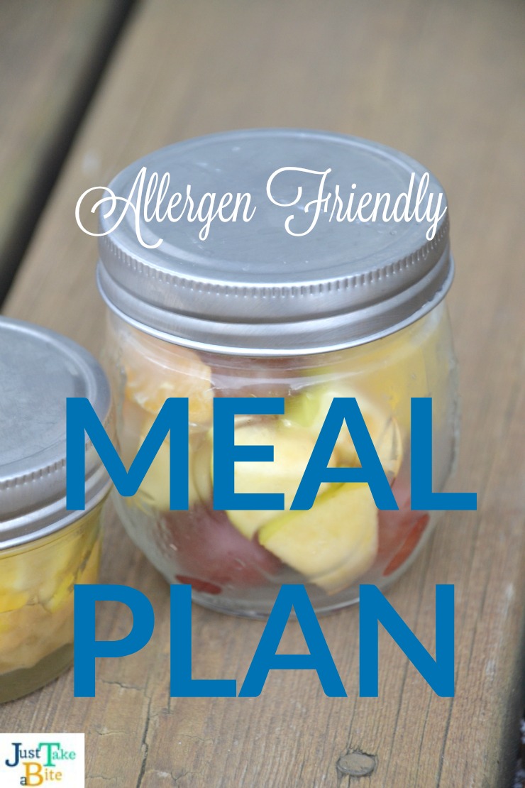 Allergen Friendly Meal Plan | Just Take A Bite