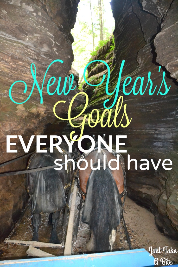 New Year's Goals Everyone Should Have | Just Take A Bite