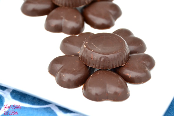 Two Ingredient Allergen Friendly Nestle Crunch Bites | Just Take A Bite