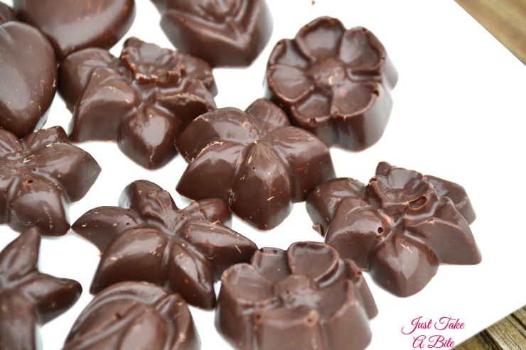 Two Ingredient Allergen Friendly Nestle Crunch® Bites Just Take A Bite 1008