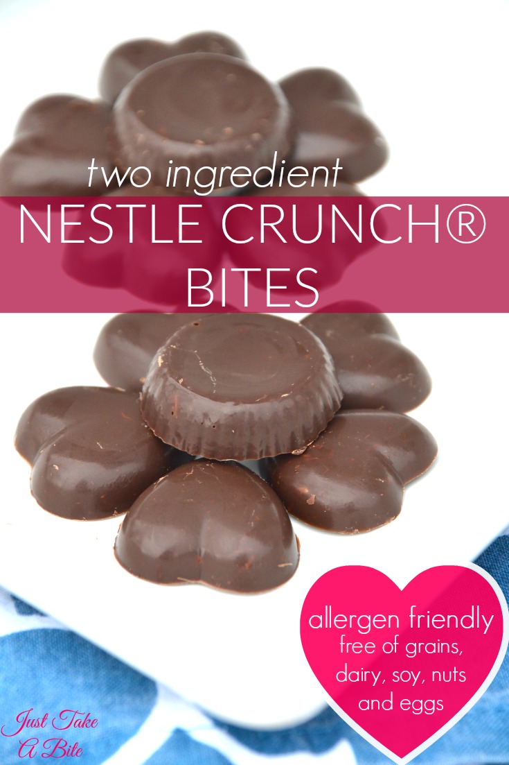 Two Ingredient Allergen Friendly Nestle Crunch Bites | Just Take A Bite