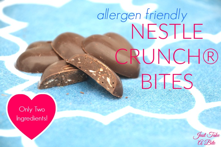 Two Ingredient Allergen Friendly Nestle Crunch Bites | Just Take A Bite