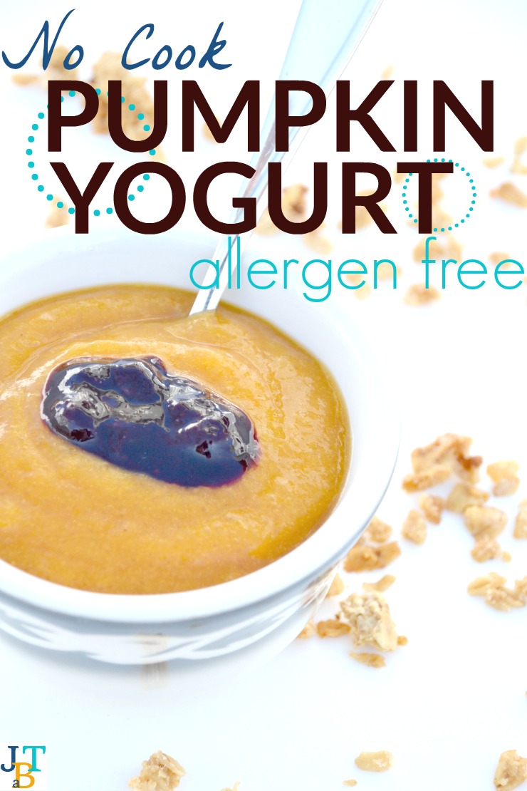 Allergen Free No Cook Pumpkin Yogurt | Just Take A Bite