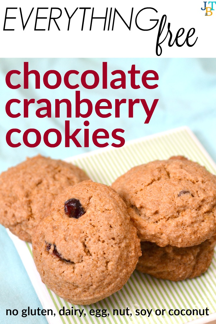 Everything Free Chocolate Cranberry Cookies | Just Take A Bite