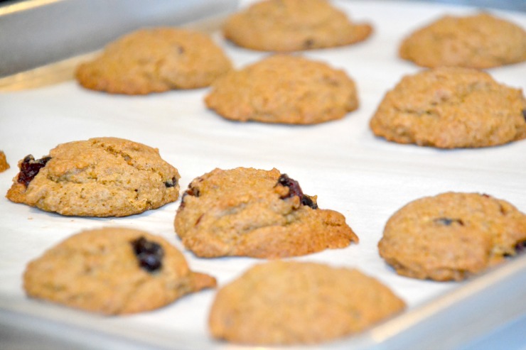 Everything Free Chocolate Cranberry Cookies | Just Take A Bite