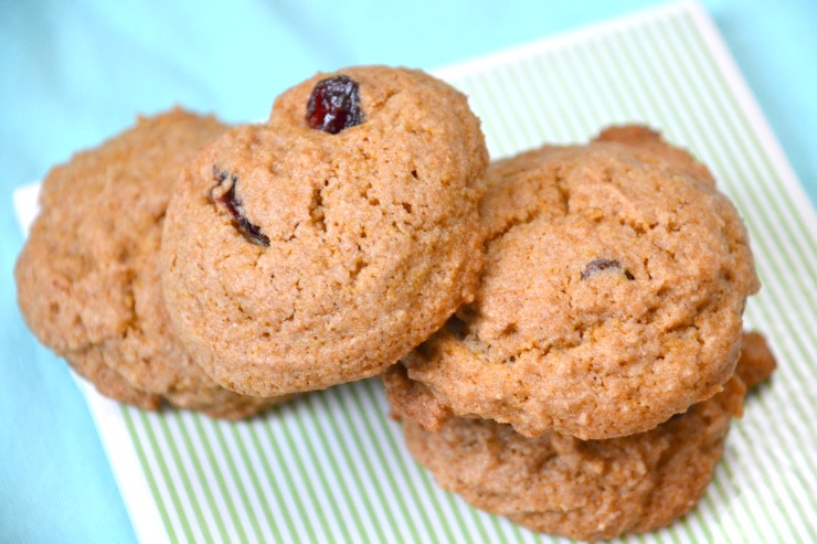 Everything Free Chocolate Cranberry Cookies | Just Take A Bite