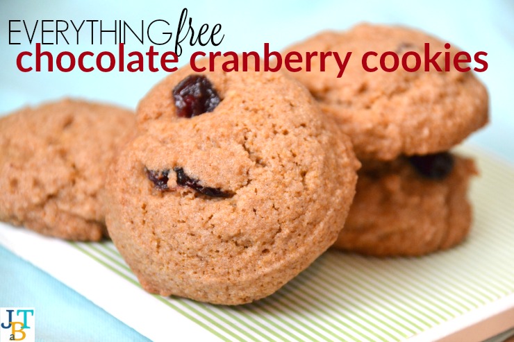 Everything Free Chocolate Cranberry Cookies | Just Take A Bite