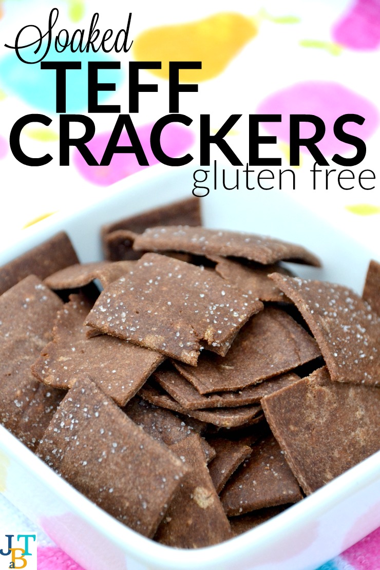 Soaked Teff Crackers | Just Take A Bite