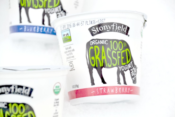 Stonyfield Grassfed Yogurt and Whole Milk Greek Yogurt Review | Just Take A Bite