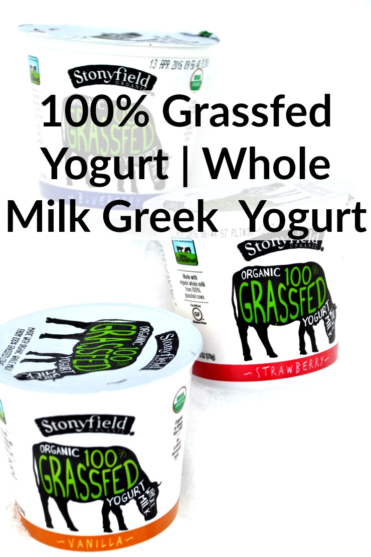 Stonyfield Grassfed Yogurt and Whole Milk Greek Yogurt Review | Just Take A Bite