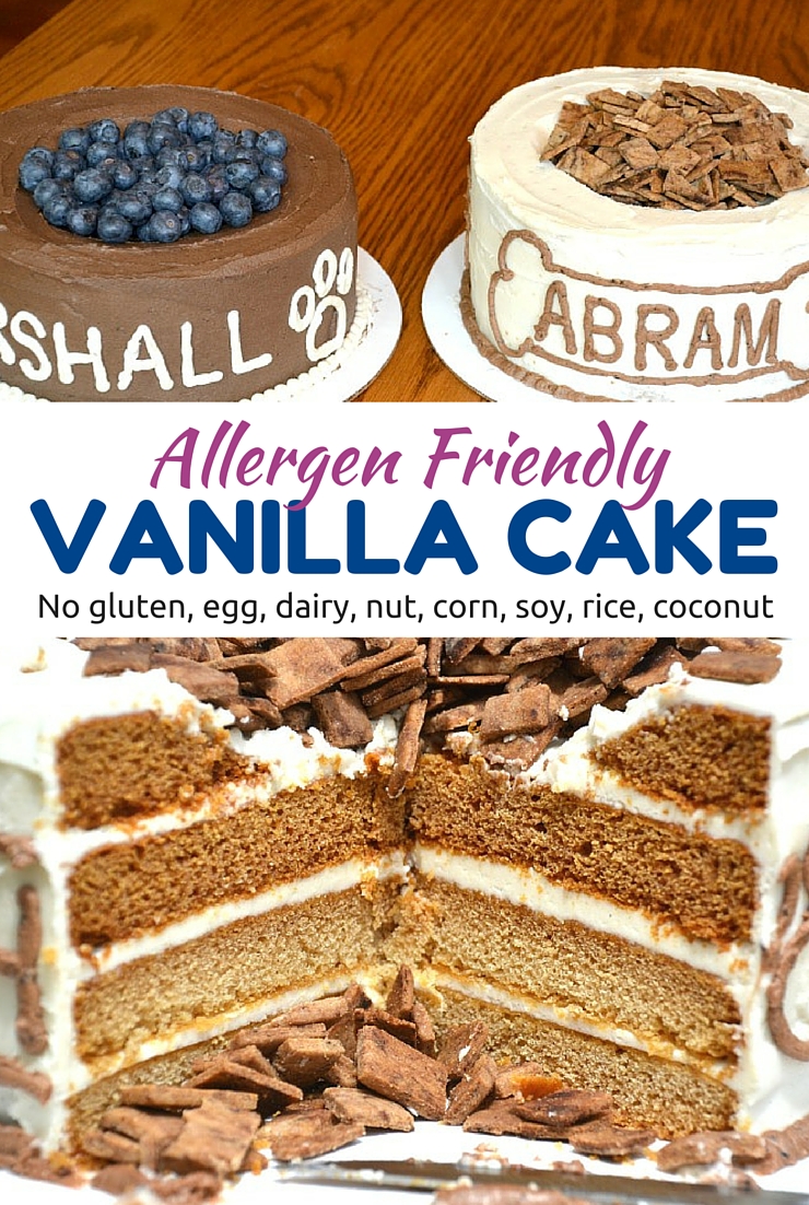 Spoil the birthday boy or girl with this allergen friendly vanilla cake. Simple, safe and delicious.