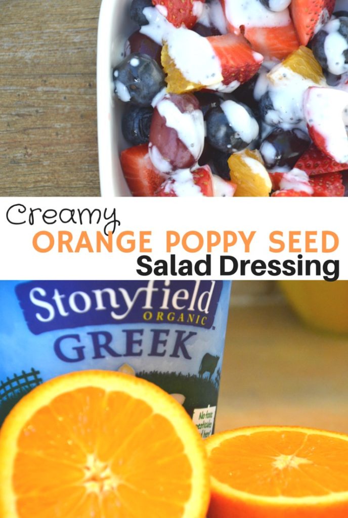 Creamy Orange Poppy Seed Salad Dressing Just Take A Bite