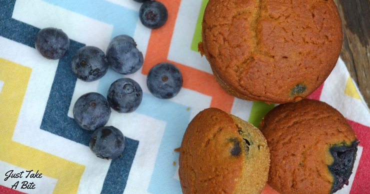 These Allergy Friendly Blueberry Muffins are free of gluten, dairy, eggs, nuts, corn, rice, coconut and soy. They are safe for just about anyone! But that doesn't mean they lack in flavor. Moist, slightly sweet and perfect for breakfast or a snack.