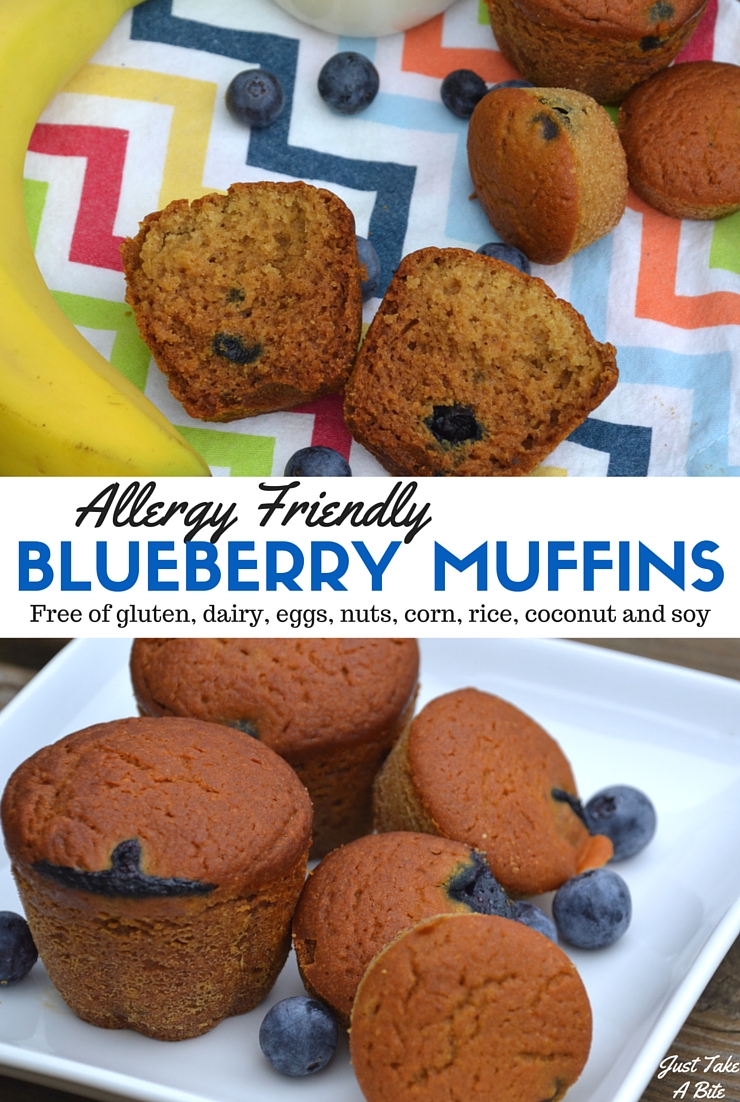 These allergy friendly blueberry muffins are free gluten, dairy, eggs, nuts, corn, soy, rice and coconut. They are safe for just about anyone! But that doesn't mean they are lacking in flavor. Most, slightly sweet and so delicious! They make the perfect breakfast or snack.