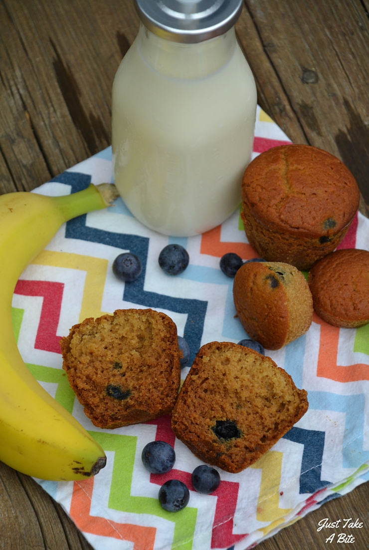 These Allergy Friendly Blueberry Muffins are free of gluten, dairy, eggs, nuts, corn, rice, coconut and soy. They are safe for just about anyone! But that doesn't mean they lack in flavor. Moist, slightly sweet and perfect for breakfast or a snack.