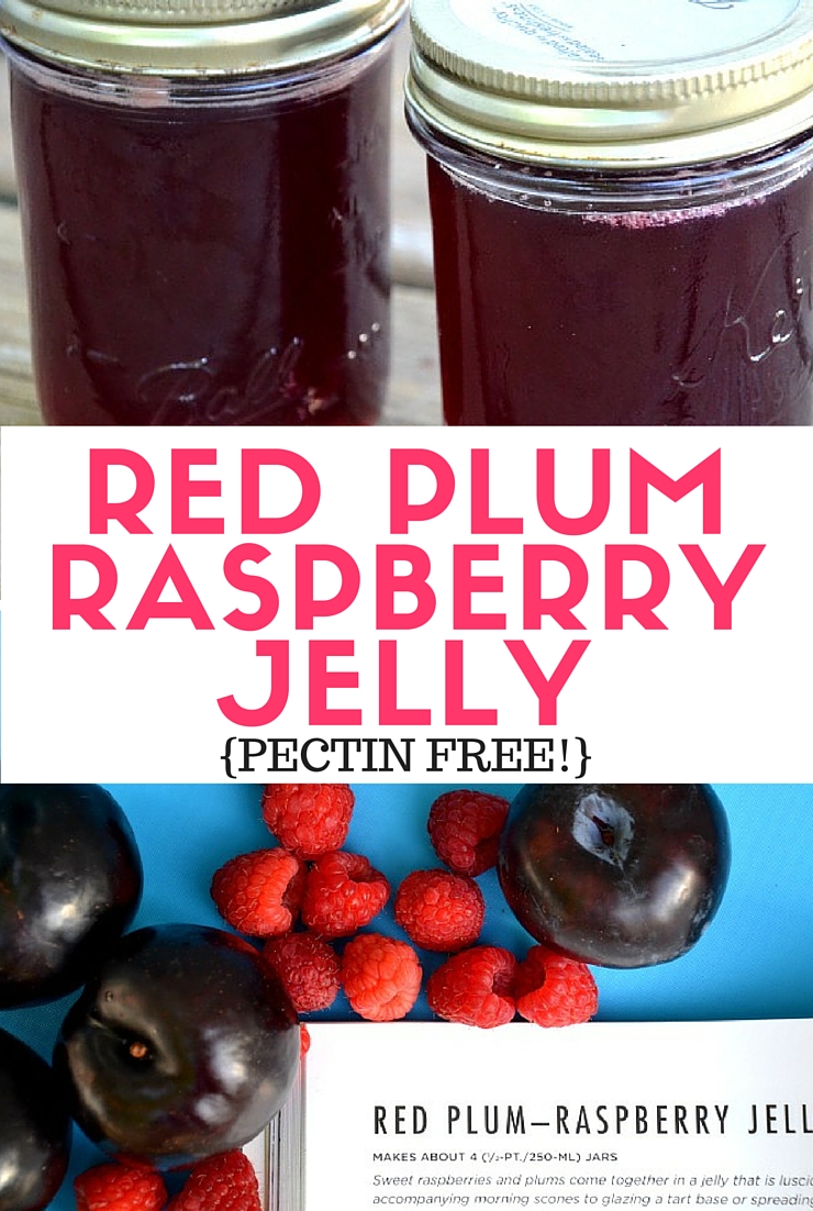 Red Plum Raspberry Jelly {No Added Pectin!}